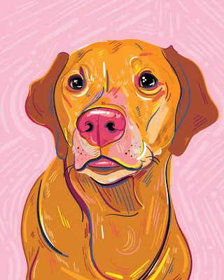 Digital portrait of dog