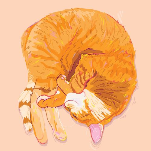 Painting of a sleeping Cat