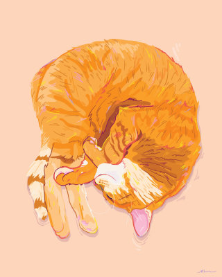 一只睡着的猫的油画