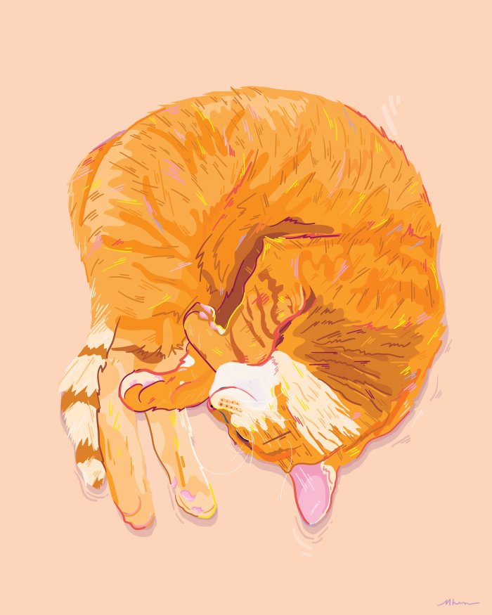 Peinture d&#39;un chat endormi