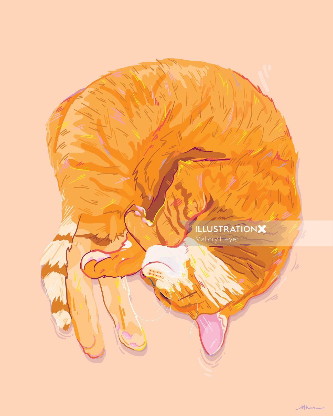 一只熟睡的猫的绘画