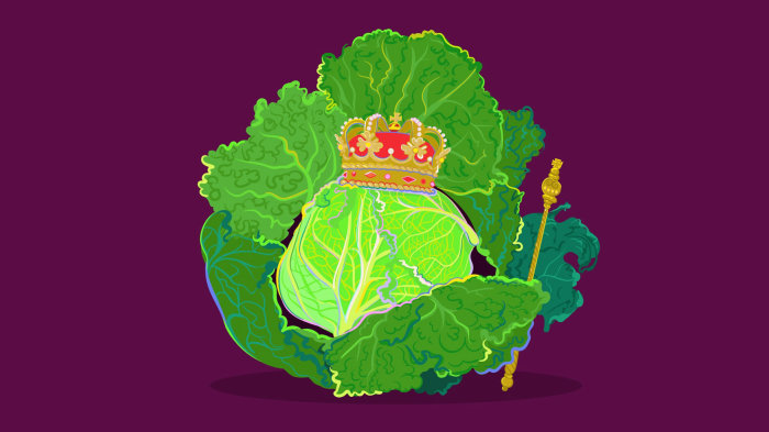 Regal cabbage in royal graphic design