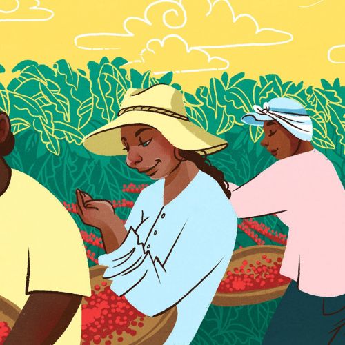 Farmers harvesting red chili peppers in field by Manu Cunhas