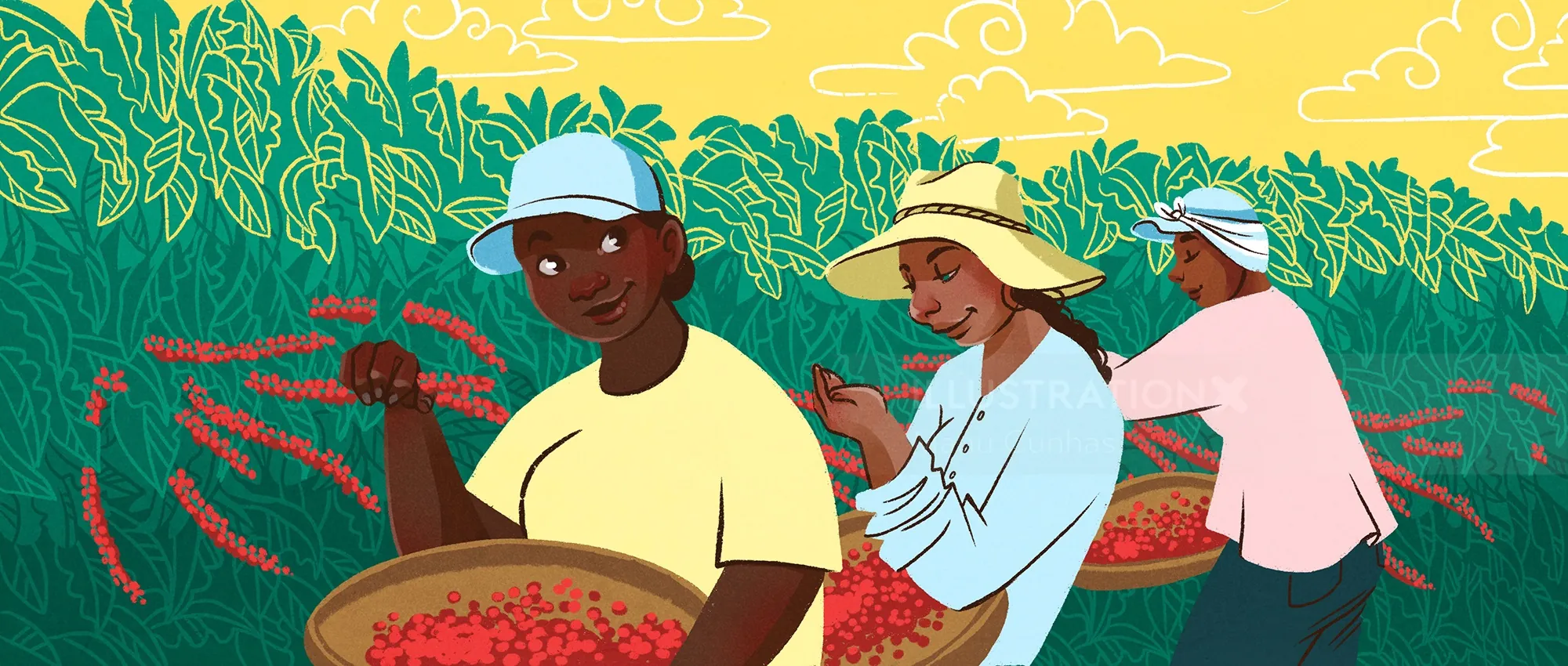 Farmers harvesting red chili peppers in field by Manu Cunhas