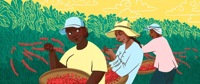 Farmers harvesting red chili peppers in field by Manu Cunhas