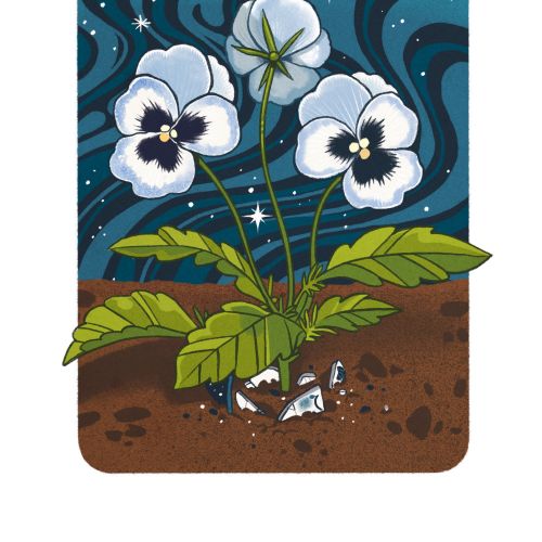 White flowers growing in soil with starry night sky and crescent moon, by Manu Cunhas