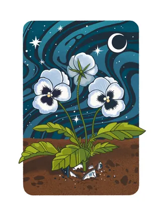 White flowers growing in soil with starry night sky and crescent moon, by Manu Cunhas