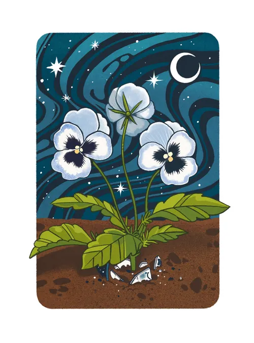White flowers growing in soil with starry night sky and crescent moon, by Manu Cunhas