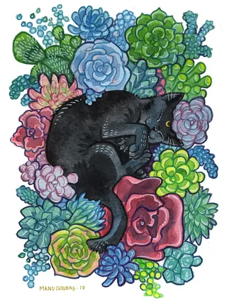 Black cat curled among colorful succulent plants by Manu Cunhas