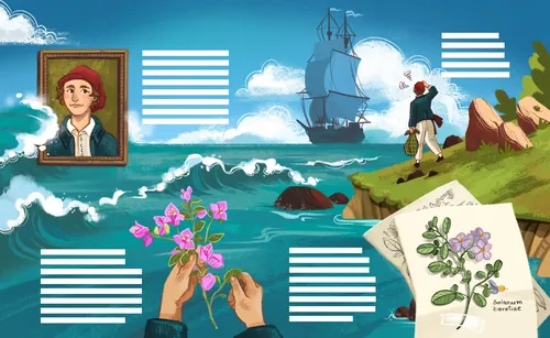 Illustration by Manu Cunhas showing explorers, a sailing ship, flowers, and botanical specimens by t