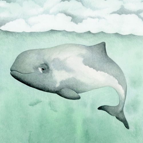 Gouache illustration of porpoise in the sea
