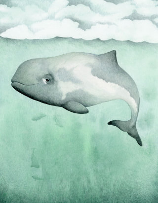 Gouache illustration of porpoise in the sea
