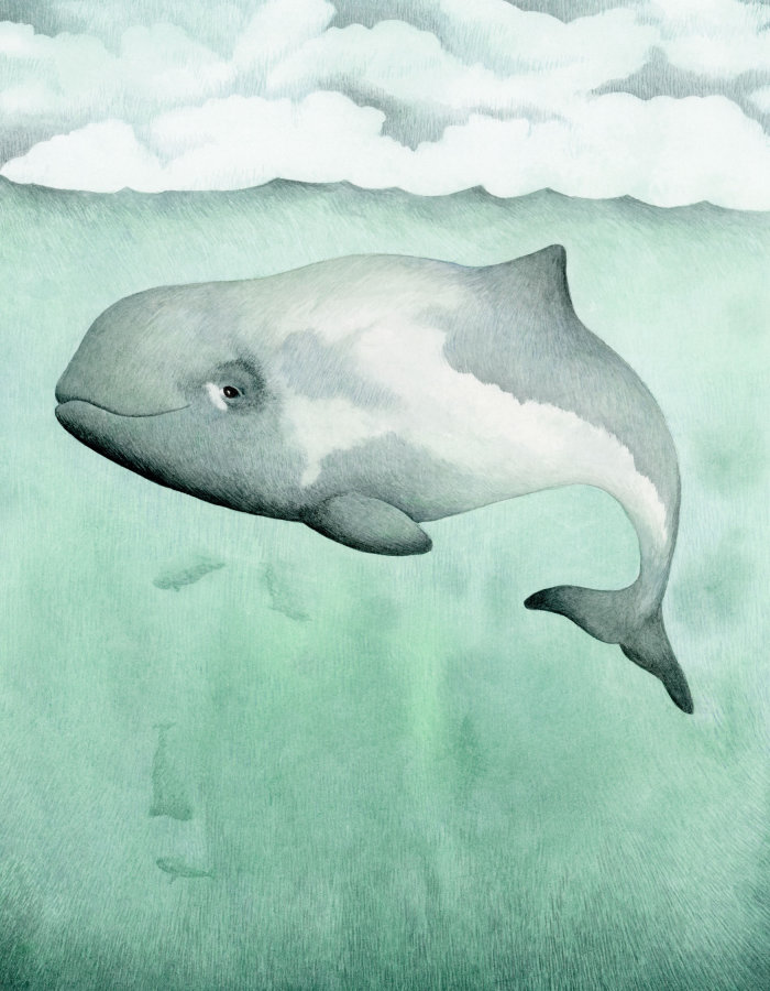Ilustração de guache de toninha no mar