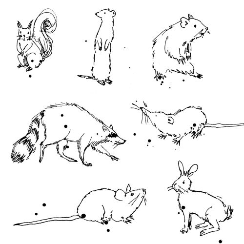 Loose line drawing of small wild animals.