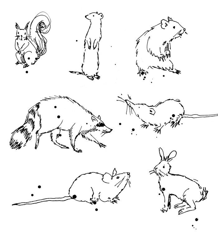 Desenho de linha solto de pequenos animais selvagens.