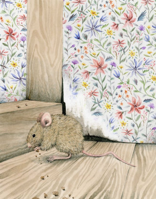ratón en la casa