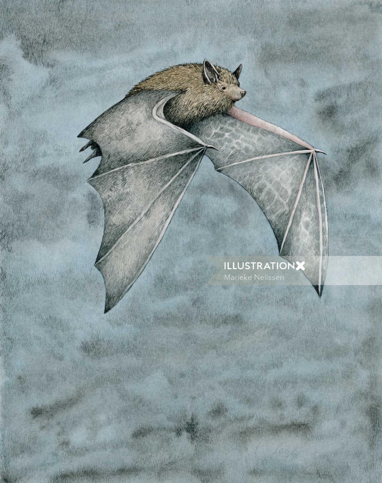 Morcego-anão voando à noite