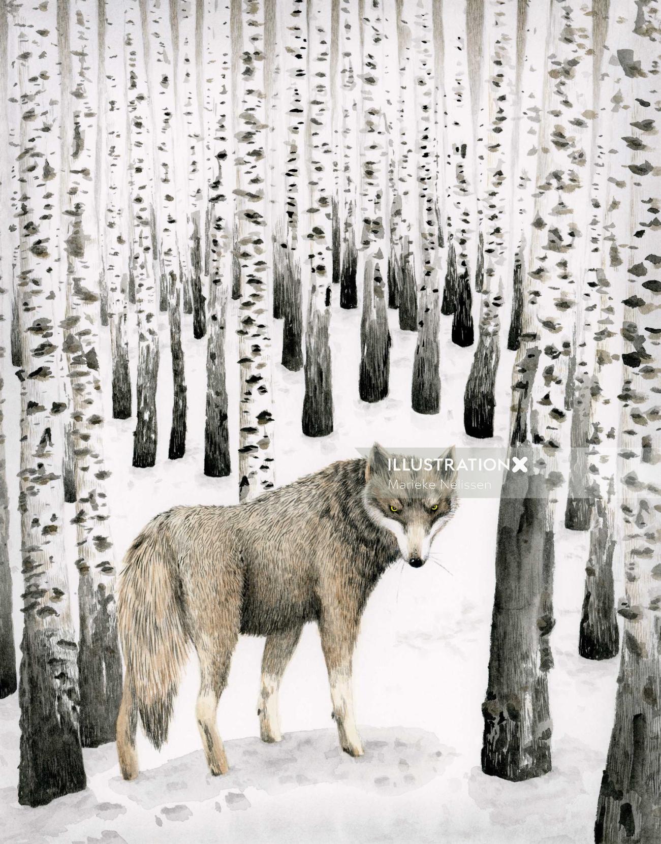 Lobo na floresta de neve de bétula.