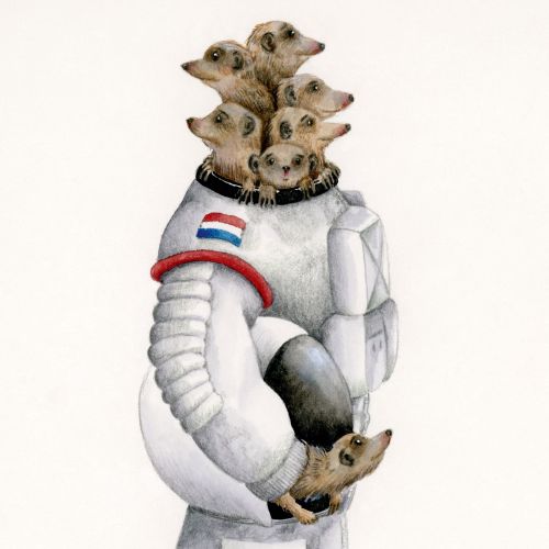 Meerkats in space suit illustration by Marieke Nelissen