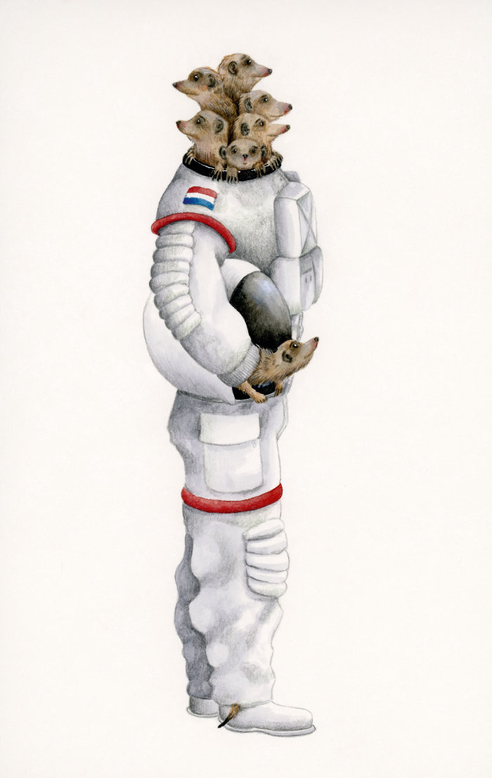 Suricatos na ilustração do traje espacial de Marieke Nelissen
