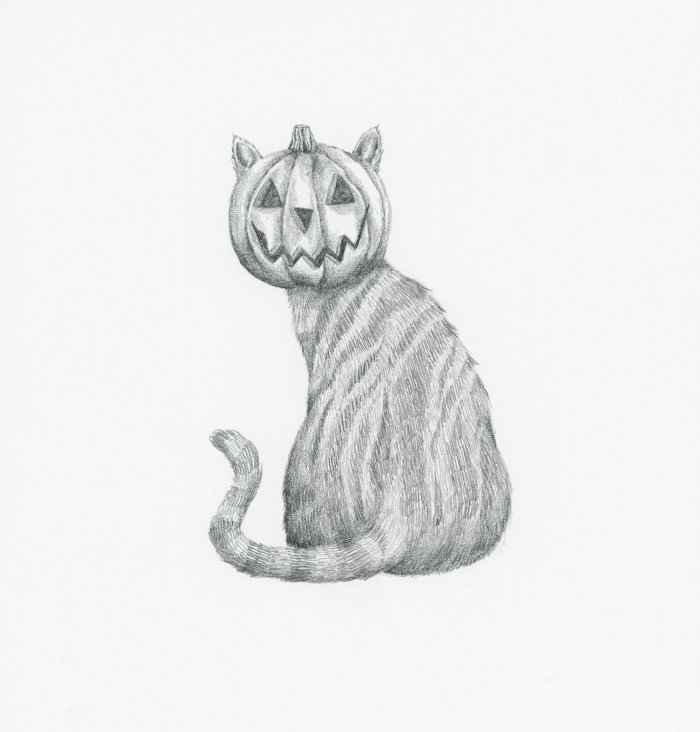 Cat with a pumpkin head