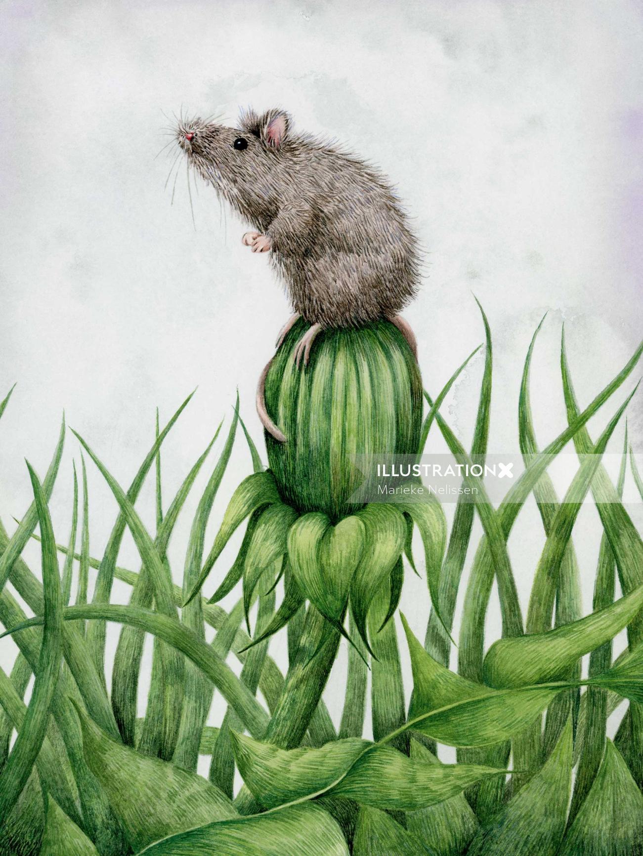 Mouse on the button of a dandelion.