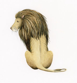 Le lion du magicien d&#39;Oz