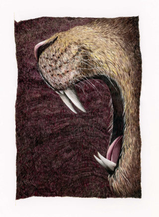 Ilustración de gouache rugiente de león por Marieke Nelissen