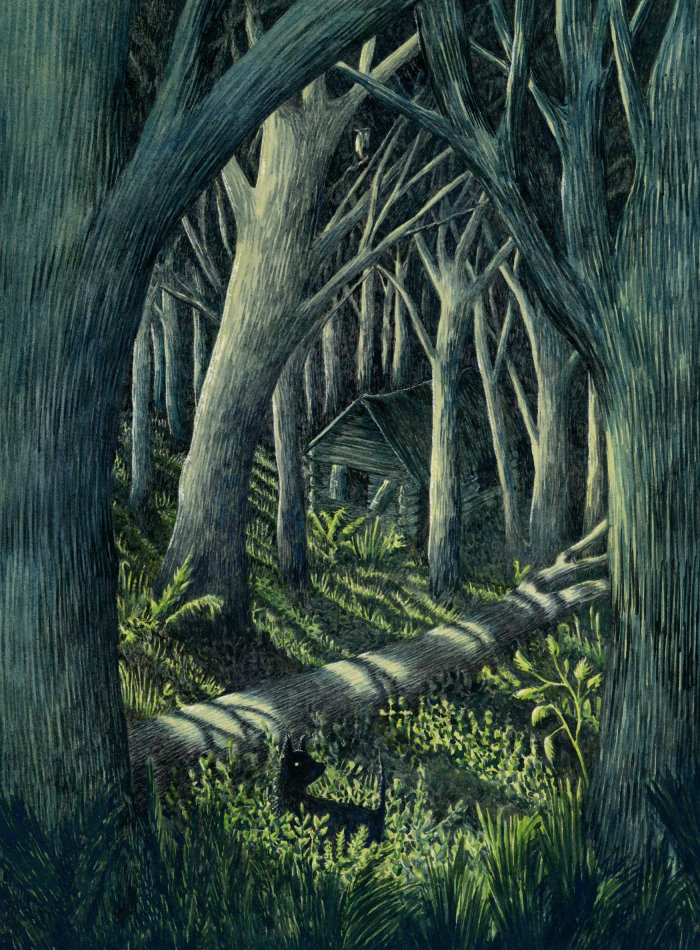 “托托在黑暗的森林”的森林