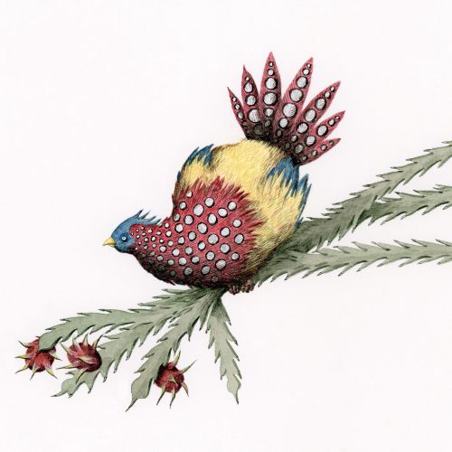 Bird on a cactus branch.