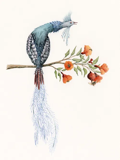 Bird on a branch of a pomegranate tree