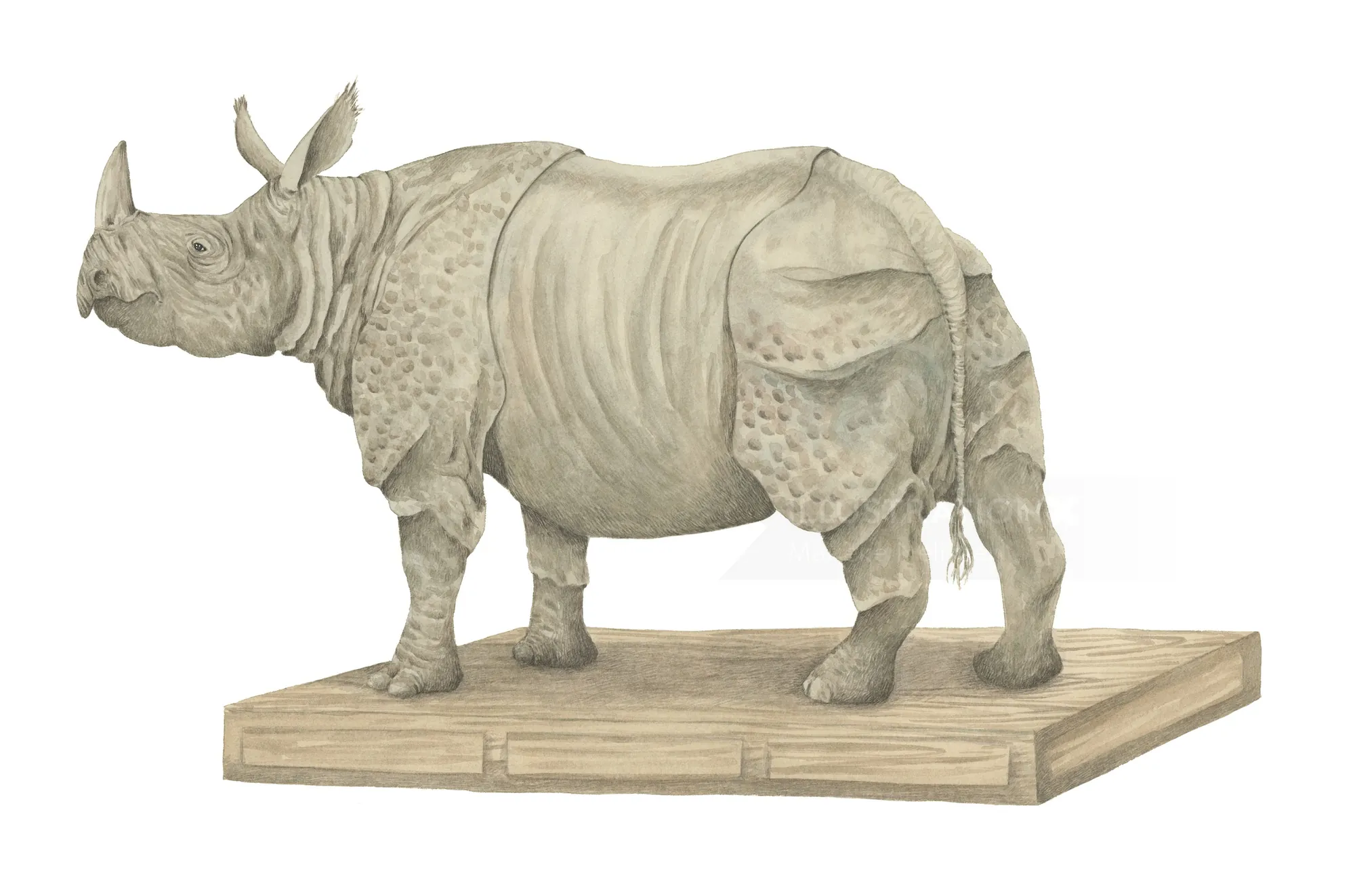 Lifelike African rhinoceros sculpture on wooden base by Marieke Nelissen
