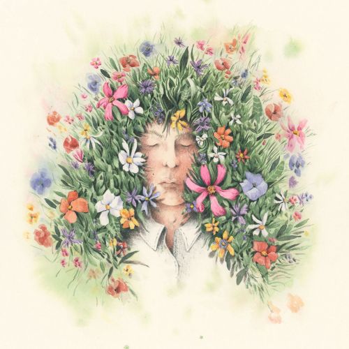 Marieke Nelissen Botanical Illustrator from Netherlands