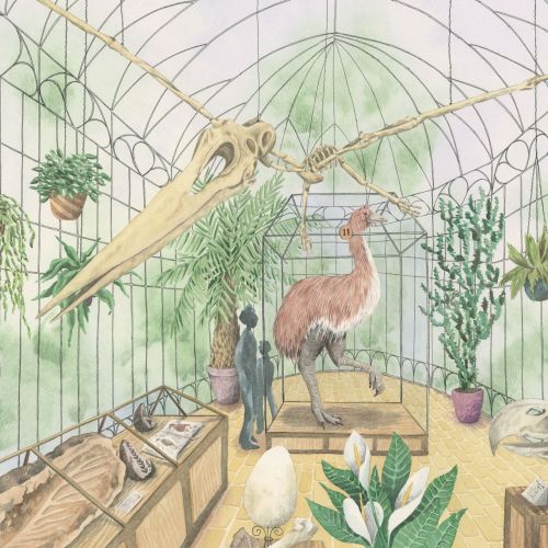 Marieke Nelissen Educational Illustrator from Netherlands