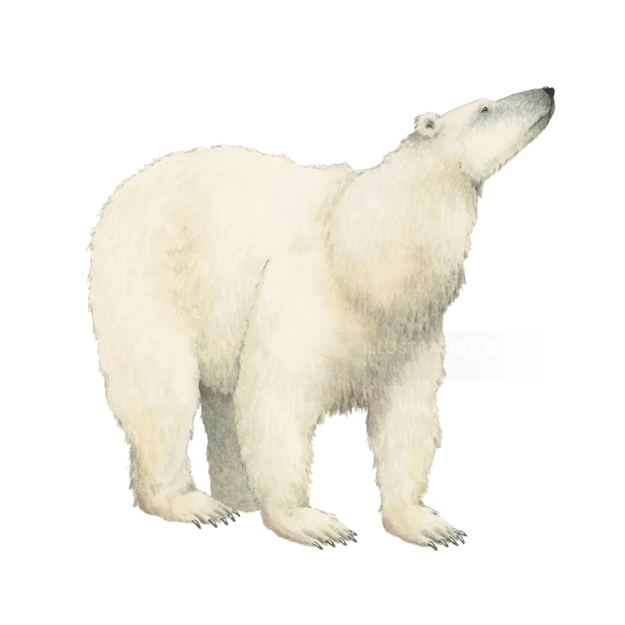 endangered