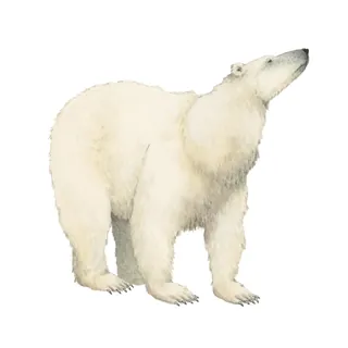 endangered