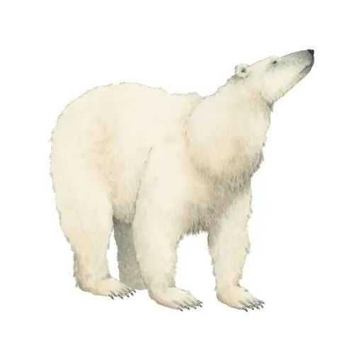 endangered