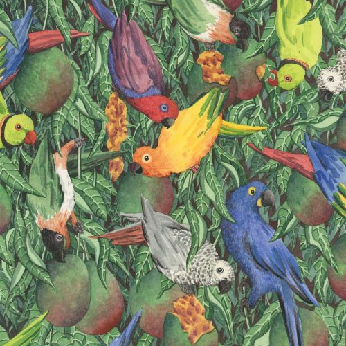 Marieke Nelissen Animals Illustrator from Netherlands