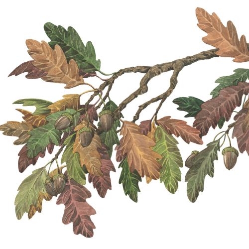 autumn