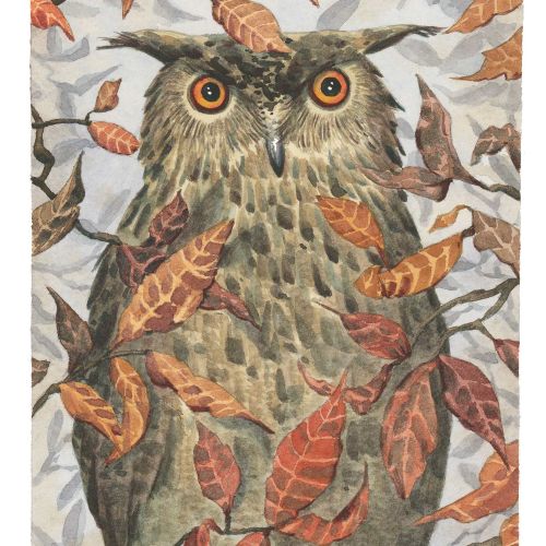 owl