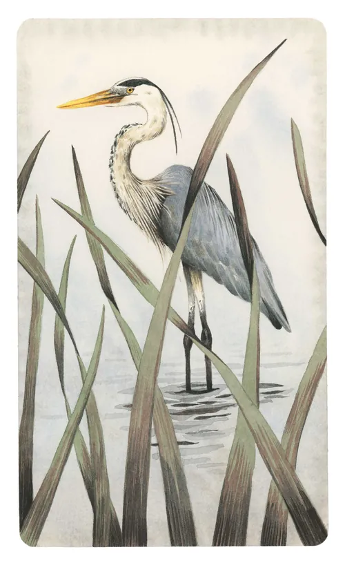 Heron standing among reeds in water by Marieke Nelissen