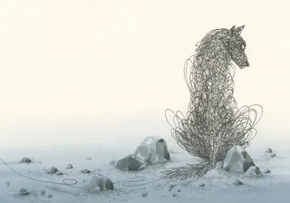 wolf