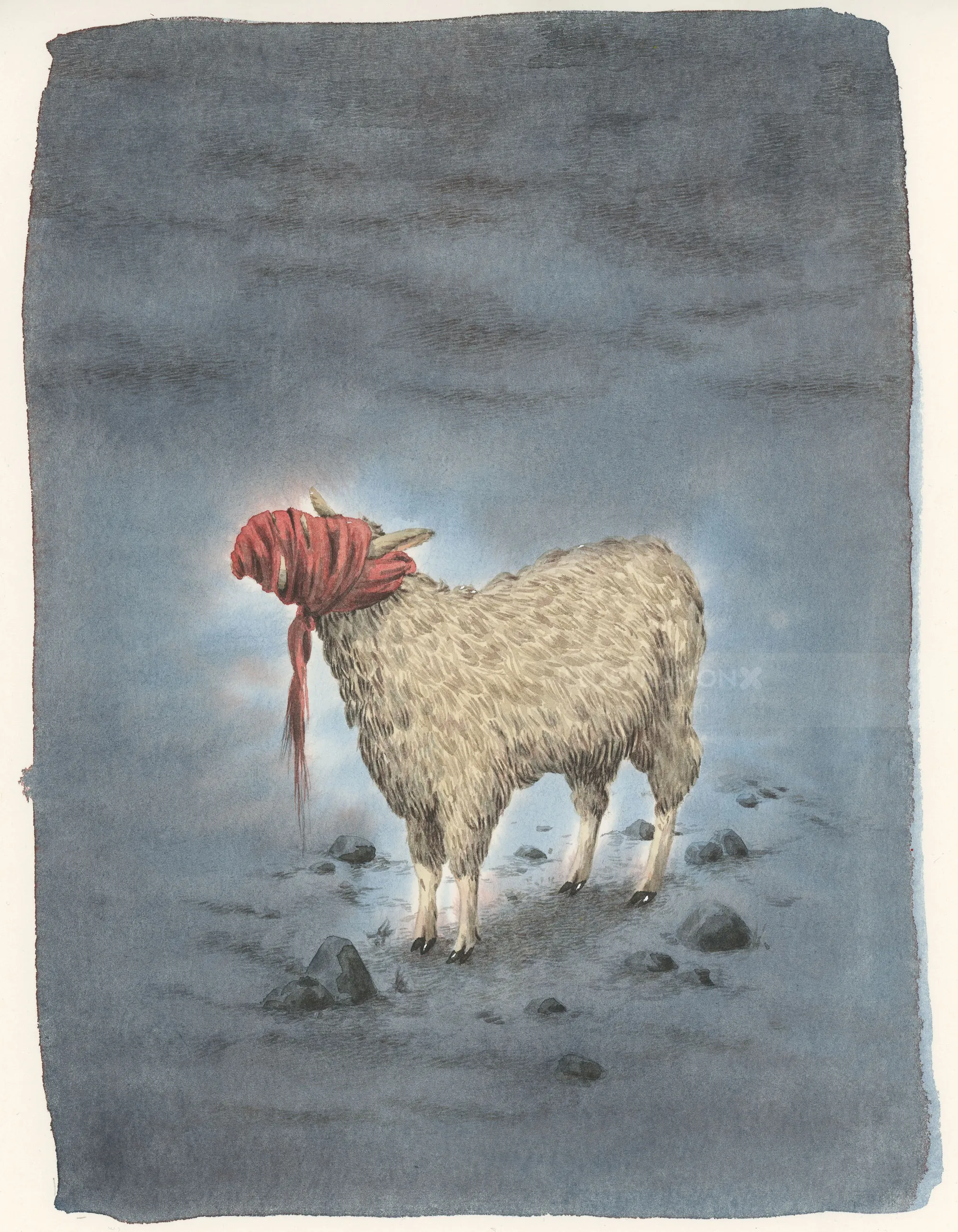 sheep