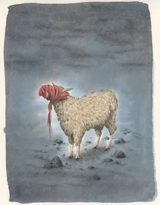 sheep