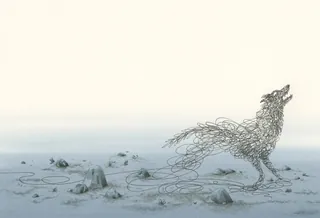 wolf