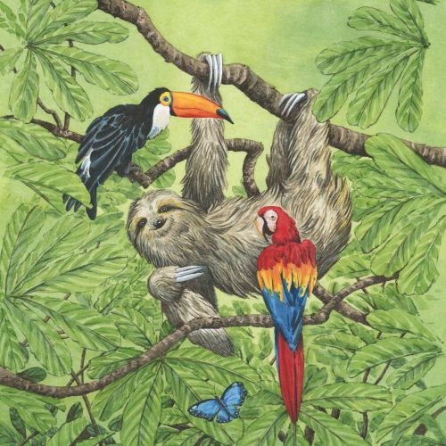birds
