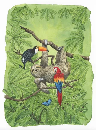 birds