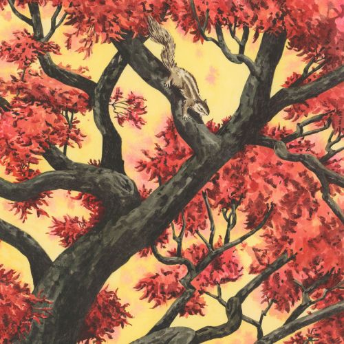 Illustration of a tree with red leaves and a squirrel climbing branches