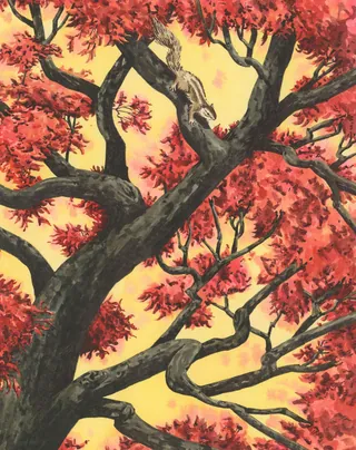 Illustration of a tree with red leaves and a squirrel climbing branches