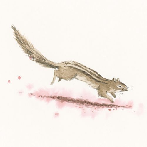Watercolor illustration of a running chipmunk with a long tail